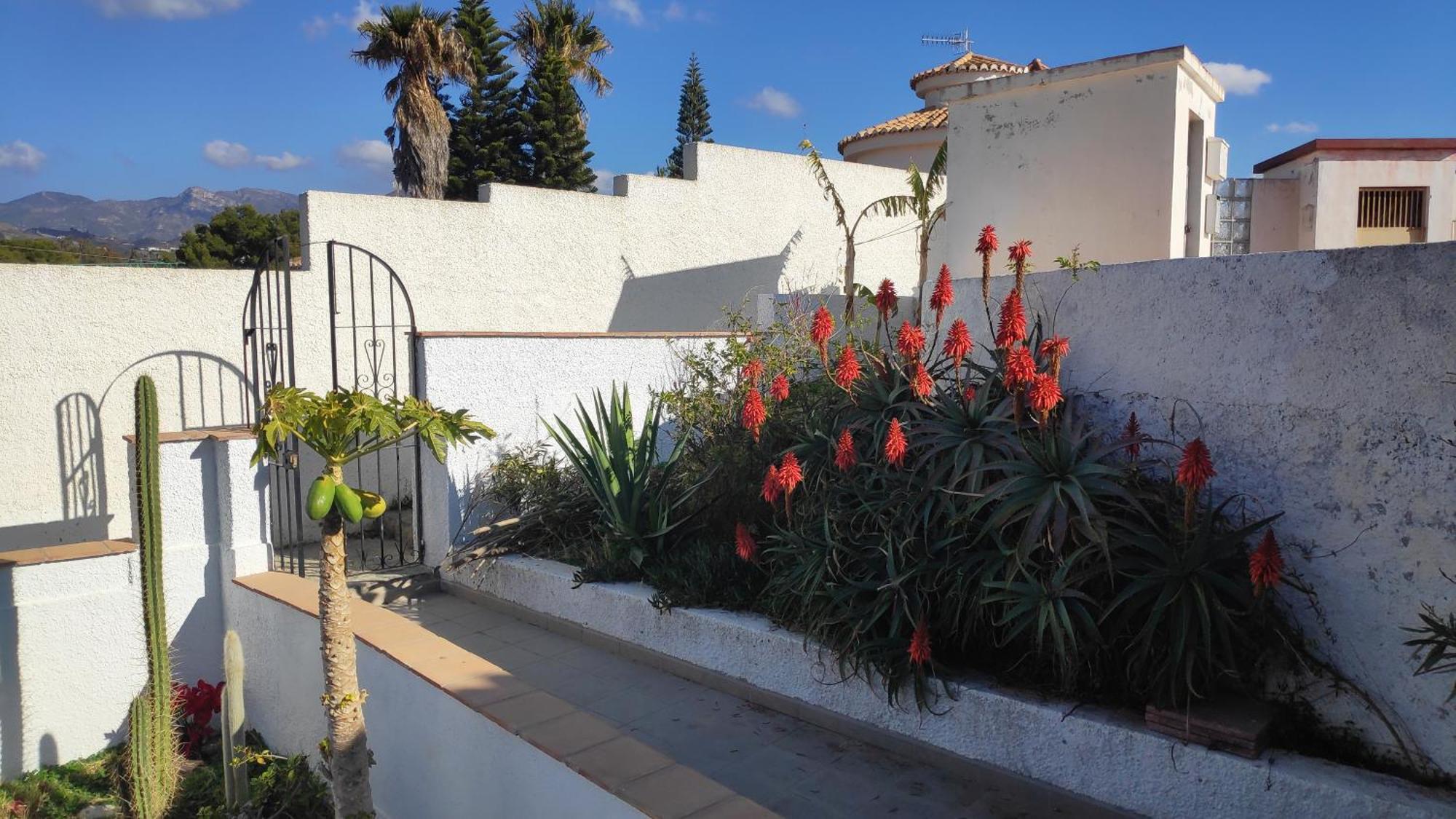 A Little Paradise With Super Views In Almuñécar Eksteriør billede